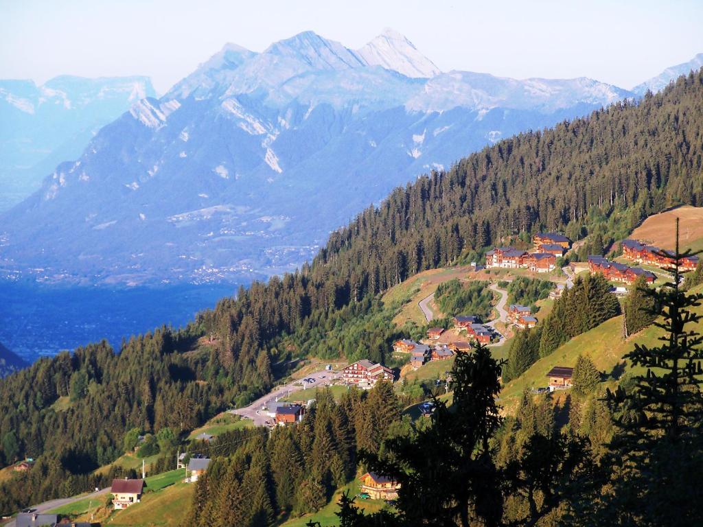 Le Chalet de Bisanne - 3