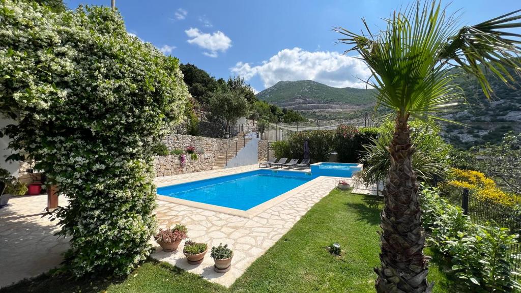 Holiday House Vita photo