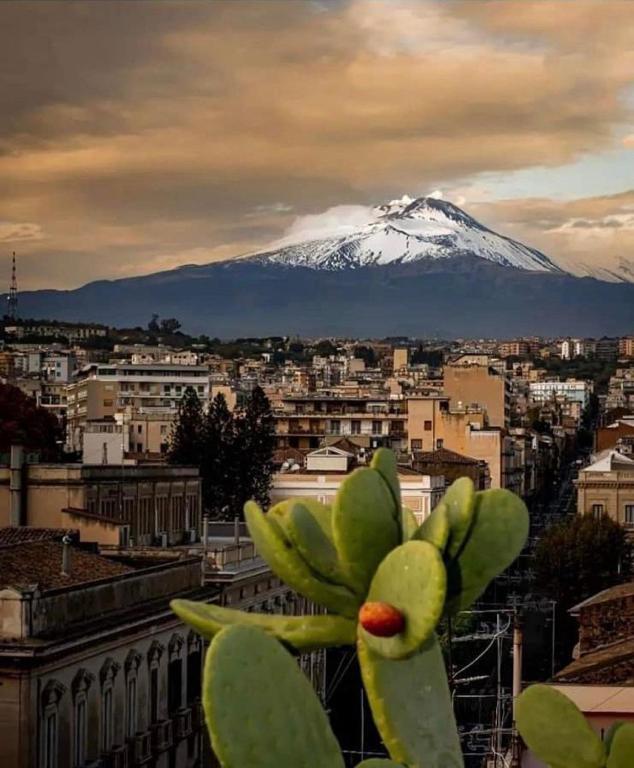 Catania Apartment Borgo Suite Autonomous photo
