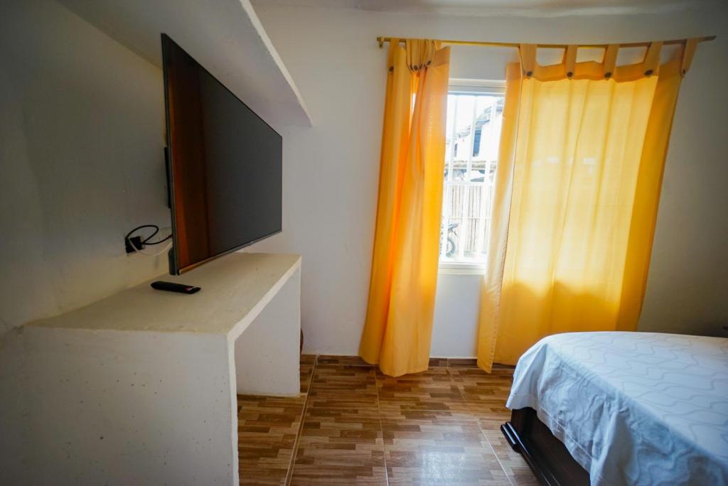 Casa las ruelias - 2