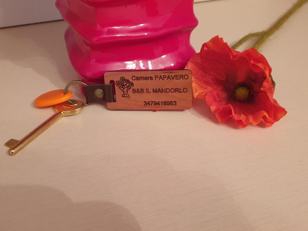 B&B Il Mandorlo - 5
