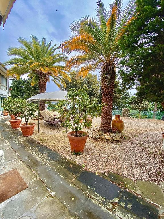 Le due palme Bed & Breakfast - 4