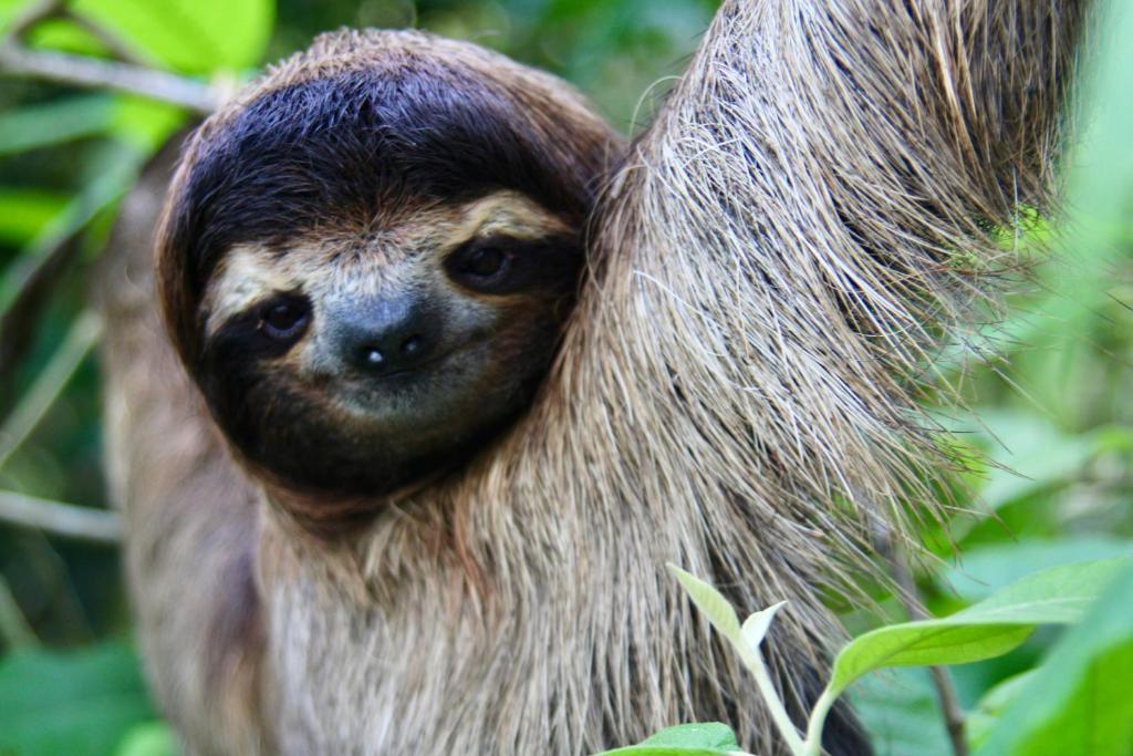 Surrounding environment