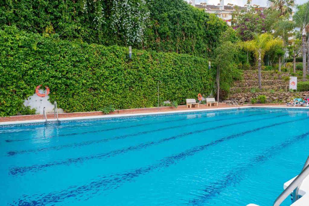 Tranquil 2 BDRM Peaceful Apt w/ 2 Pools - 4