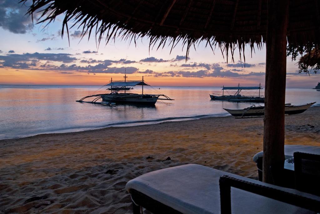 Surrounding environment