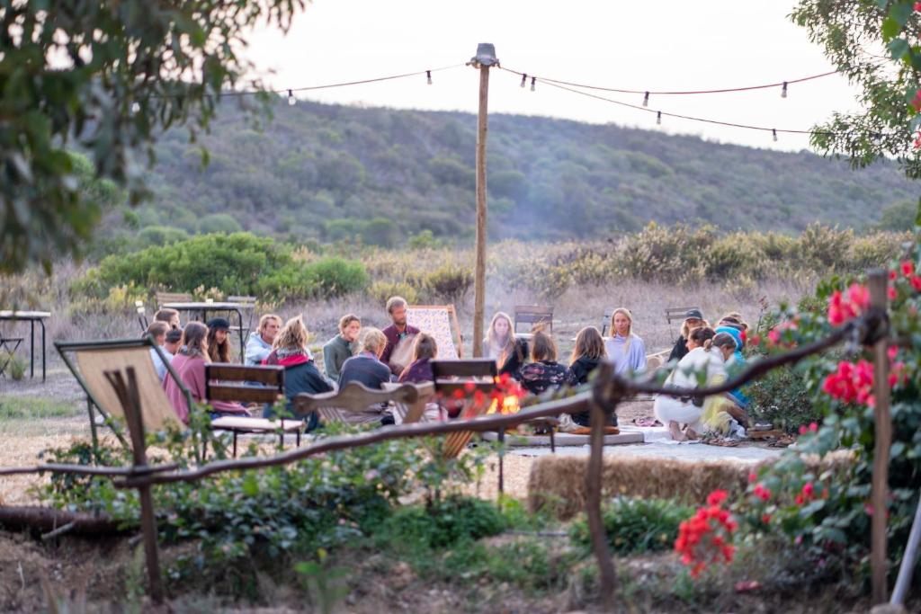 Soul Farm photo