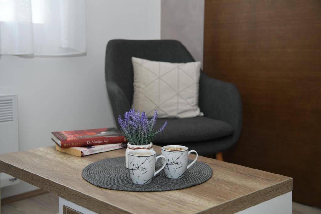 Apartman Zara - free private parking - - 3