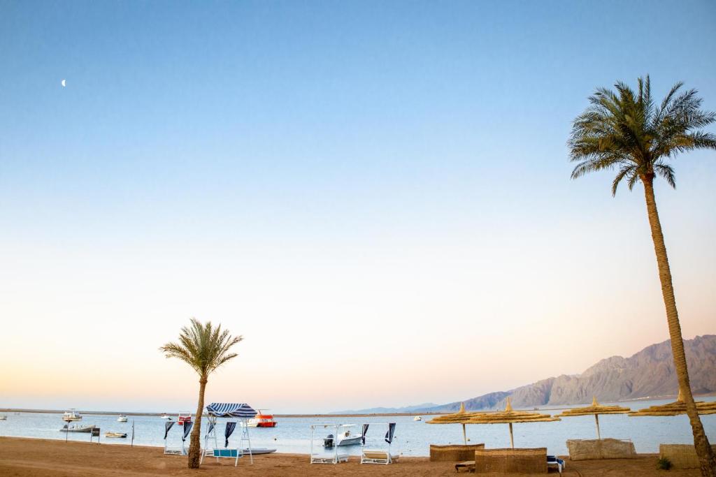 Dahab Lagoon Club & Resort Ex Tirana Dahab — Beach in Dahab, Red Sea