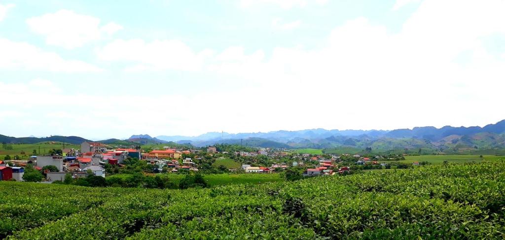 Homstay Sinh thai Cay Sung Moc Chau photo