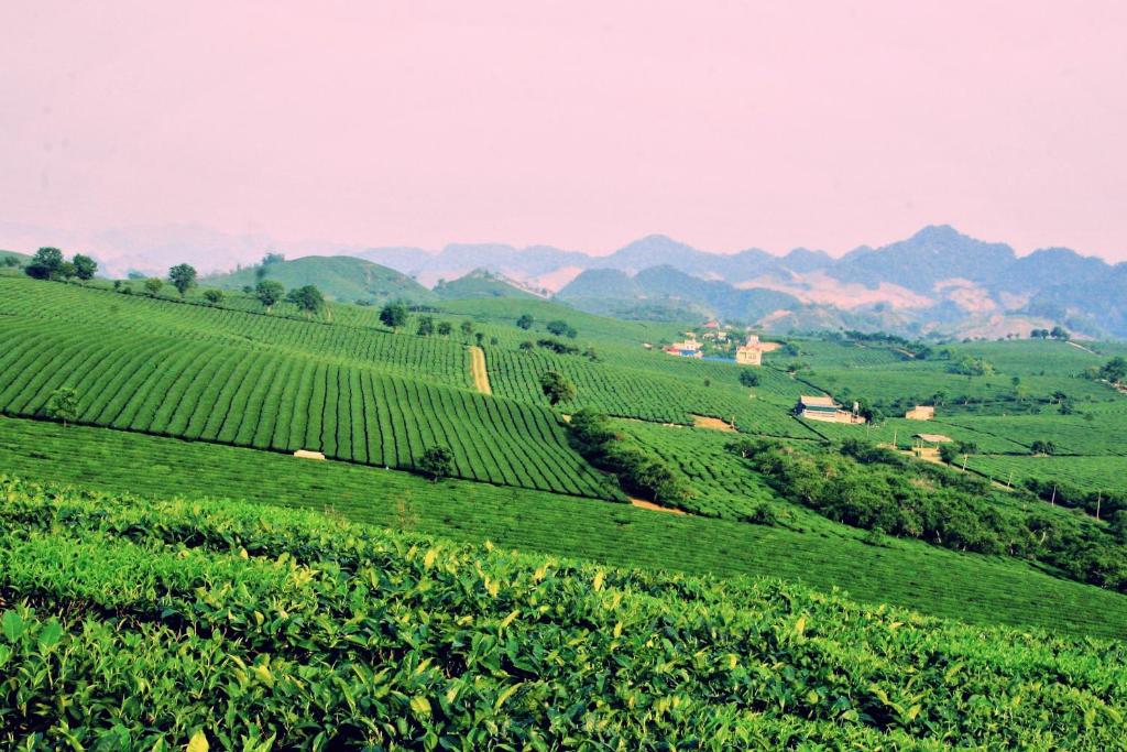 Homstay Sinh thai Cay Sung Moc Chau photo