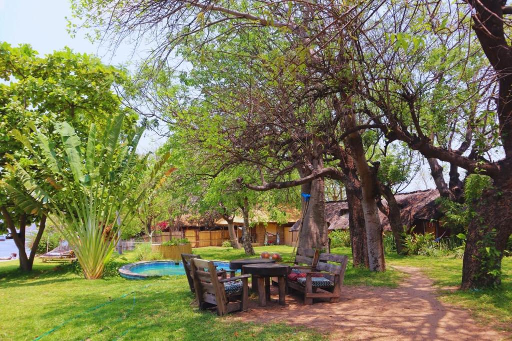 Jardín