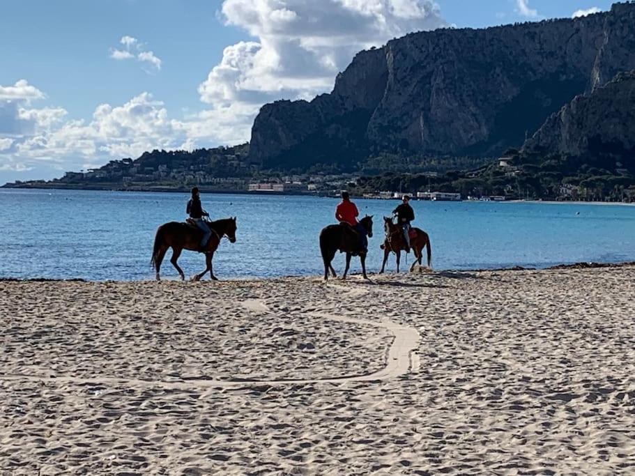mondello sea view beach apartment - 4