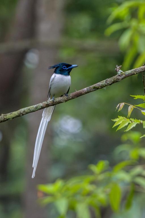 Surrounding environment