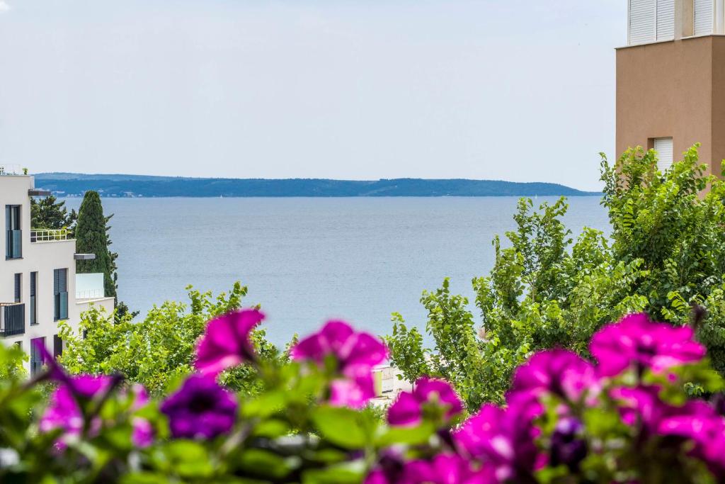 Apartment Summer Dreams, Split