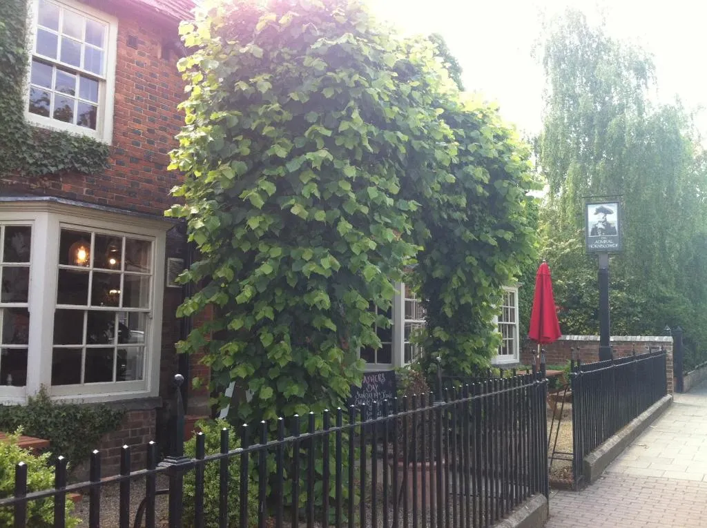 The Admiral Hornblower, hotel v destinaci Oakham