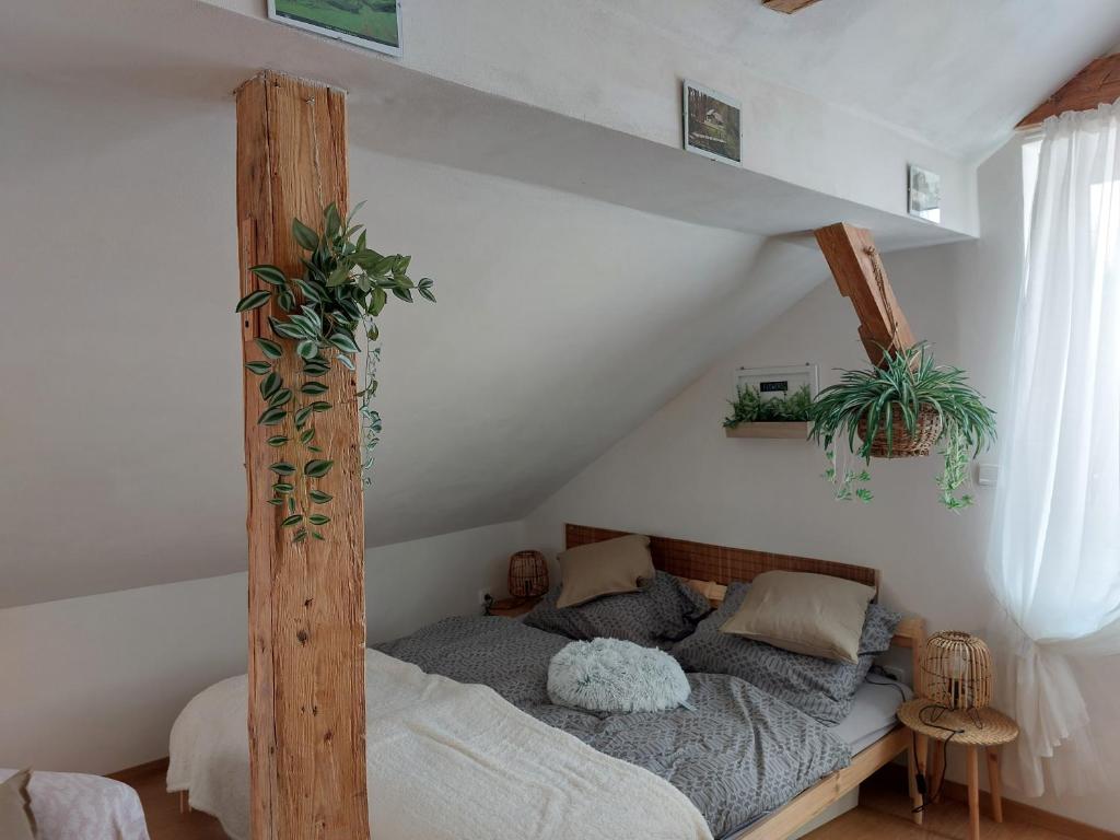 Apartmán Mourek, Hartmanice