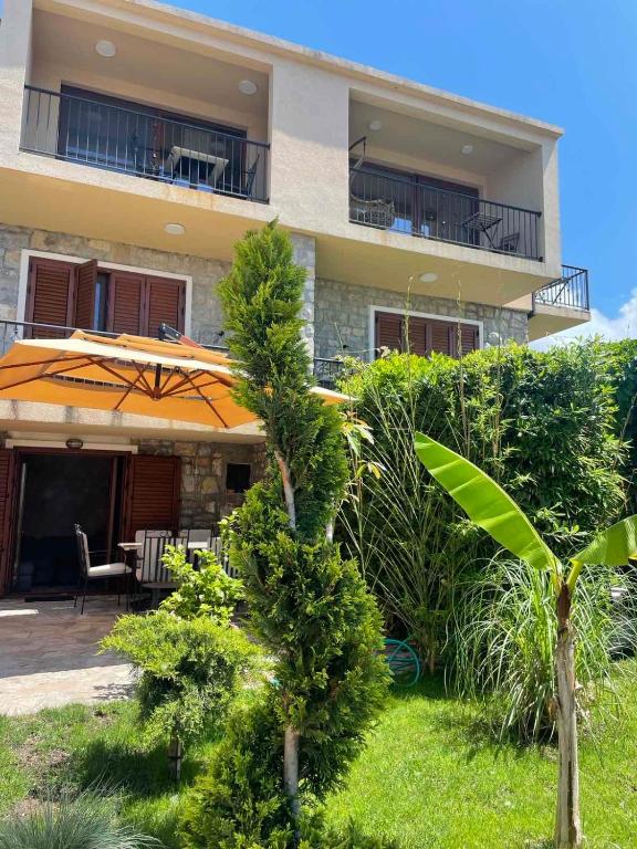 Reina, Petrovac na Moru