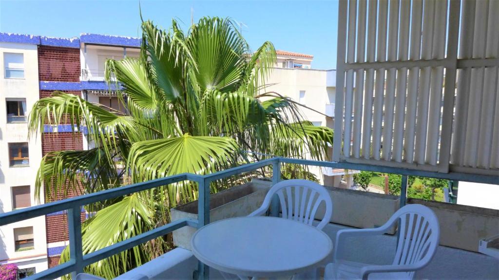 Apartamentos Colon - 2