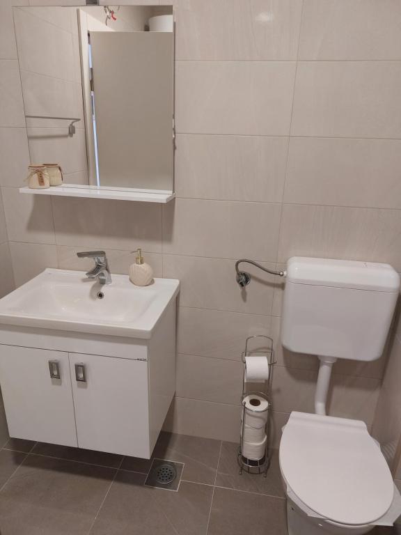 Apartman Brajic - 5
