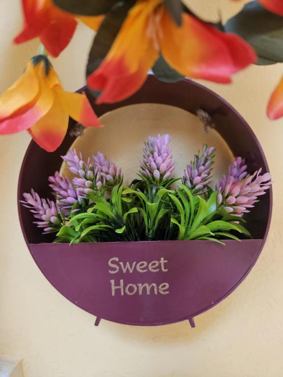 Sweet home Gaeta - 1