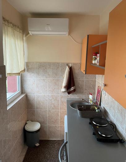 Roof Apartment Nis - 2