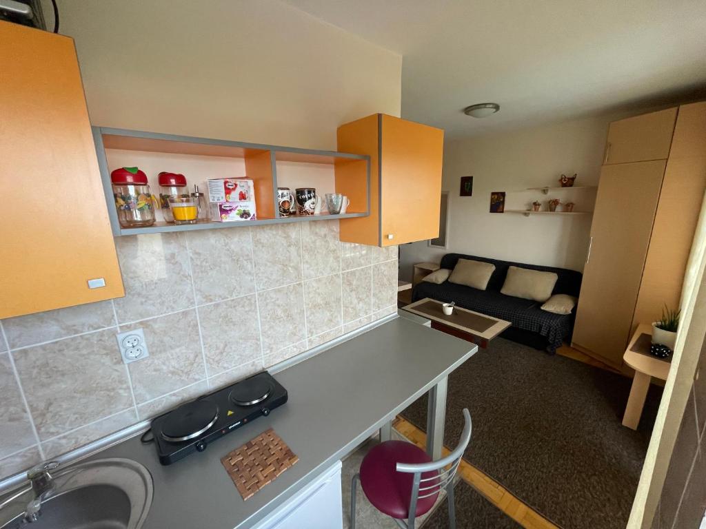 Roof Apartment Nis - 4