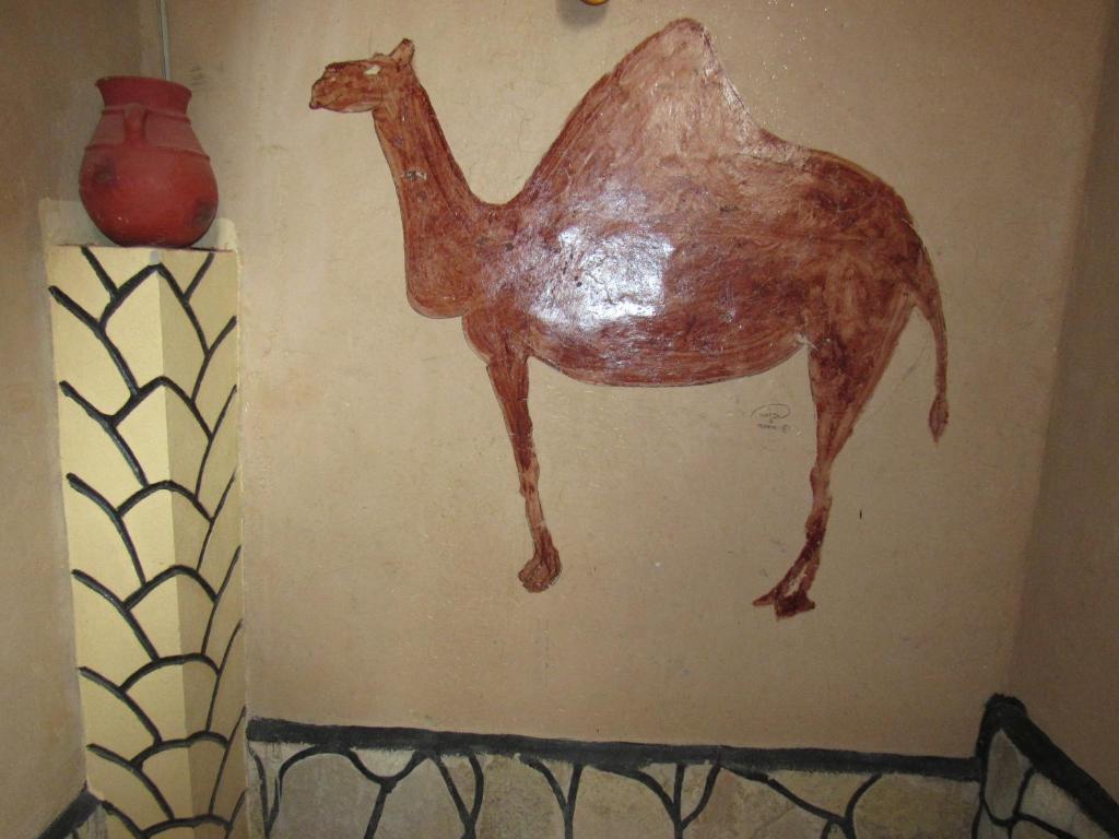 Dounia Hostel photo