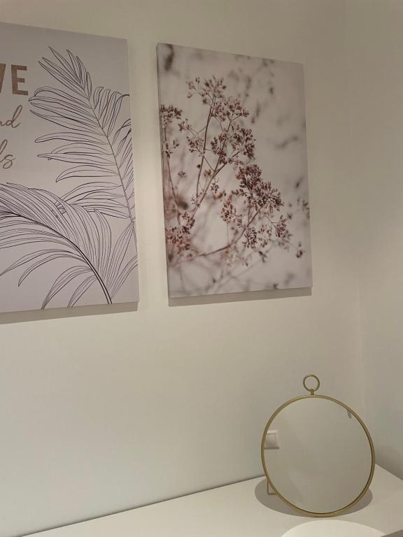 Apartamento N&S Carolinas - 5