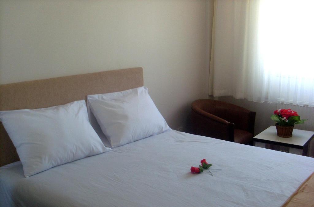 Butik Ertur Hotel photo
