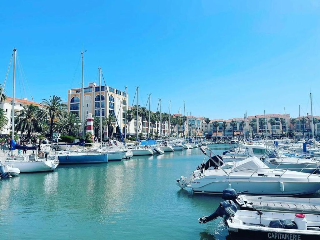Appartement 2** avec loggia, parking, à 5 min de la plage - Argelès-sur-Mer - FR-1-732-10 - 2
