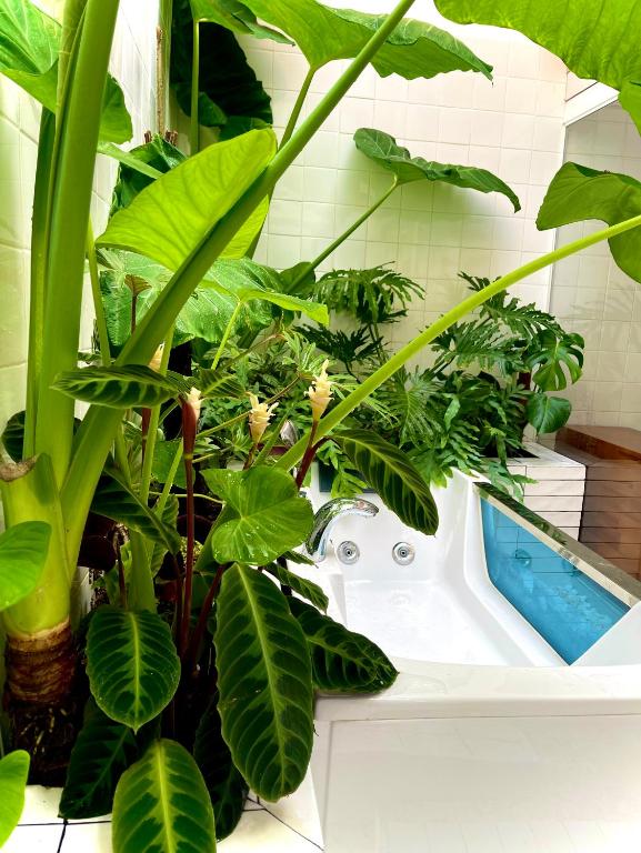 Doc Garden Homestay - Apartment & Coffee photo