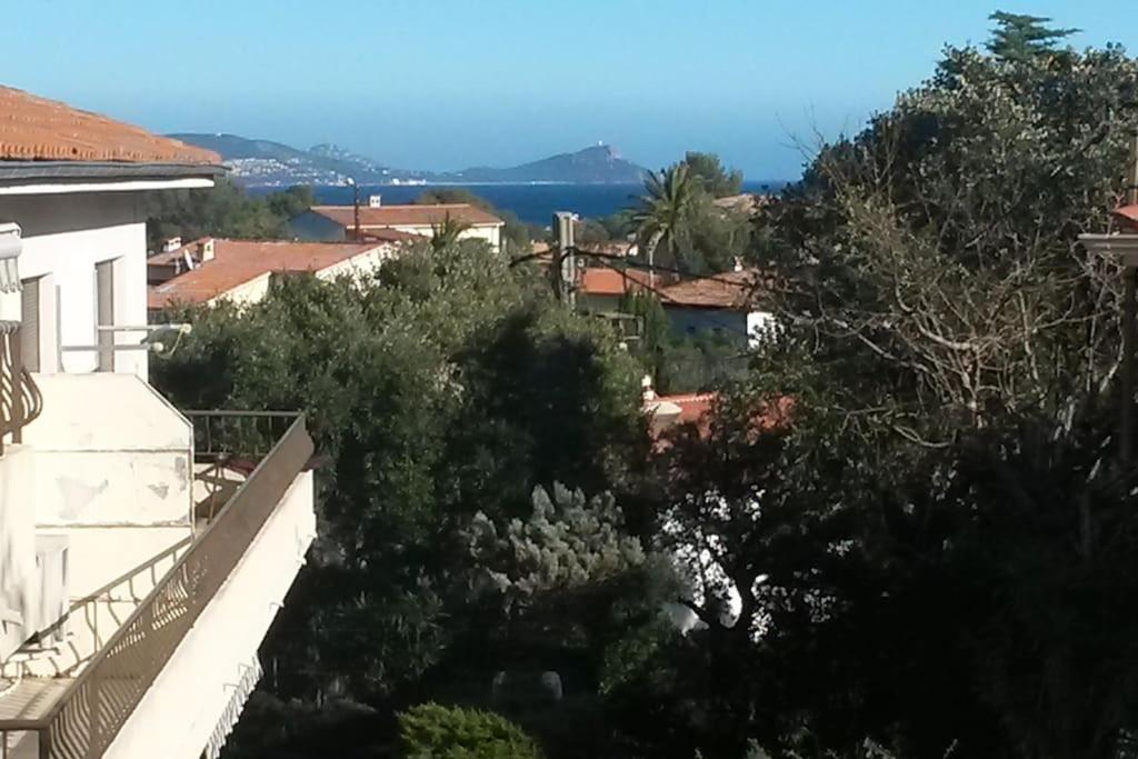 T1 rez de jardin avec grande terrasse – St Aygulf - 1
