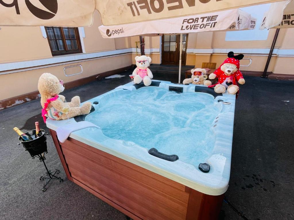 Hot tub, Hotel La Belle Epoque in Petrosani