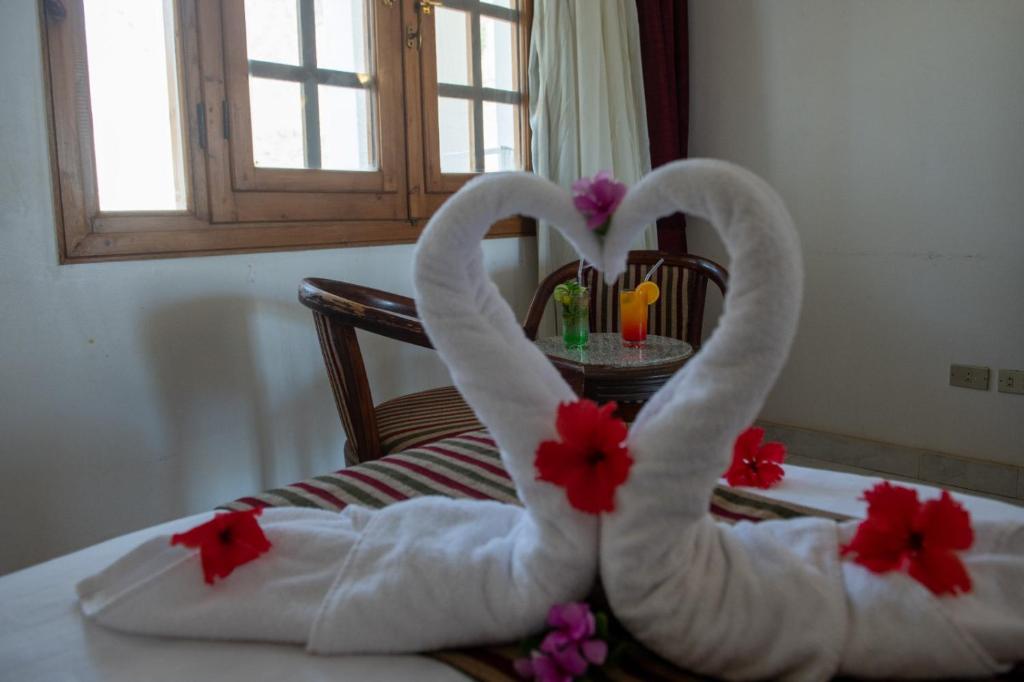 Happy Life Village Dahab — Hotel rooms in St. Catherine, South Sinai
