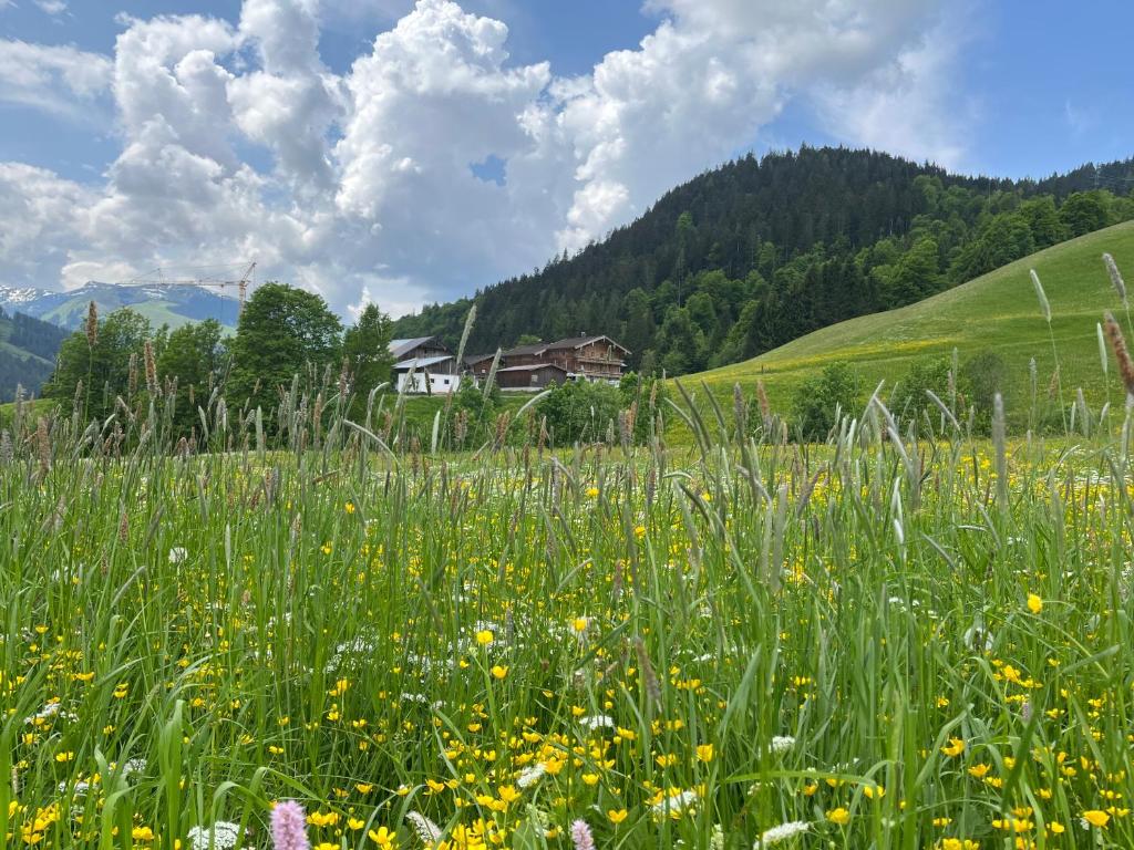 Appartement zur schlafenden Jungfrau - 5