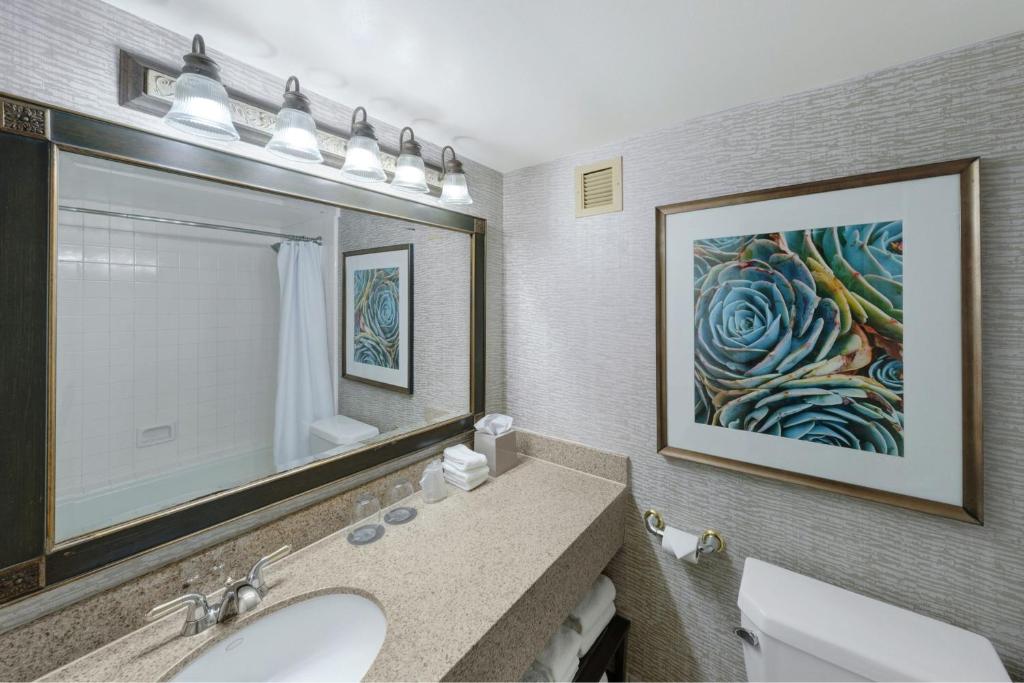 The Westin San Antonio North photo