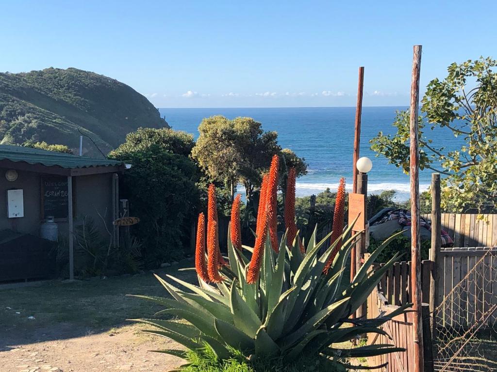 CORAM DEO SaltyWaves double en-suite rooms with sea views photo