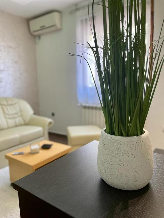 Apartman IN - 4
