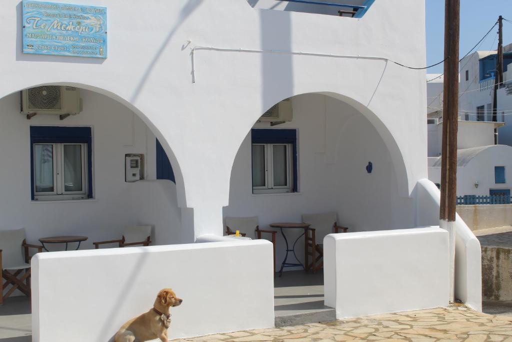 Meltemi Rooms and Studios photo
