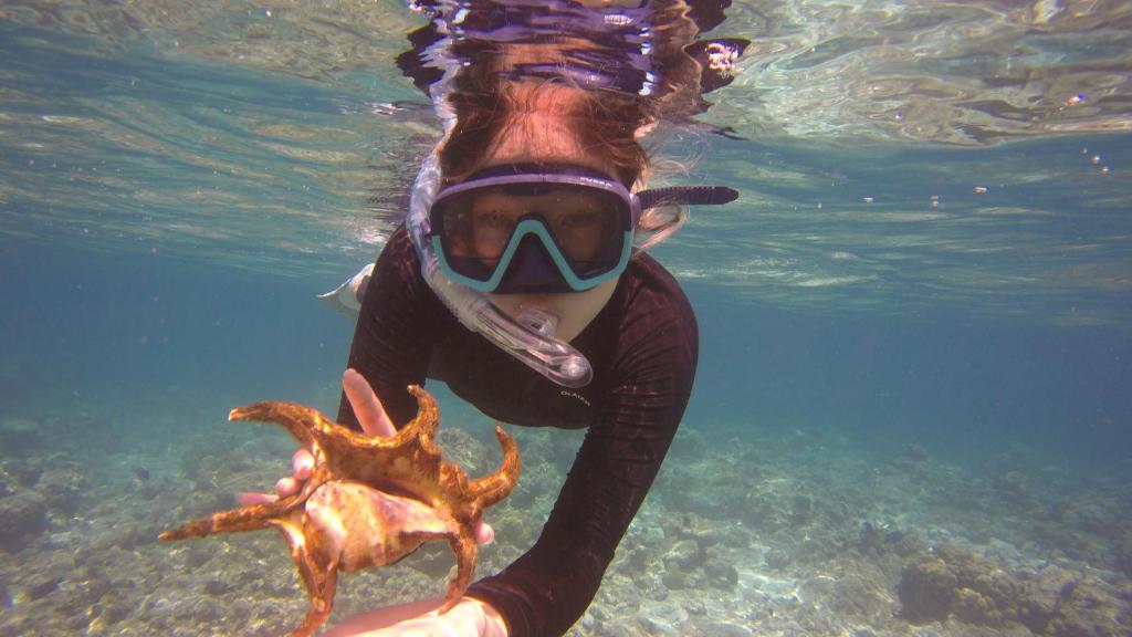 Sports and activities