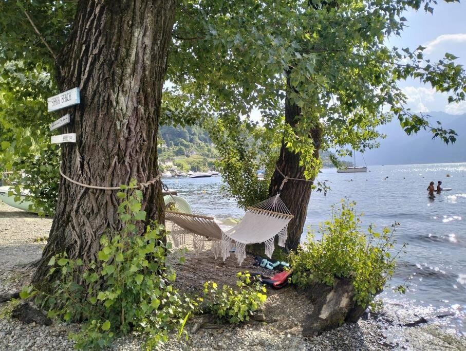 Ảnh 4