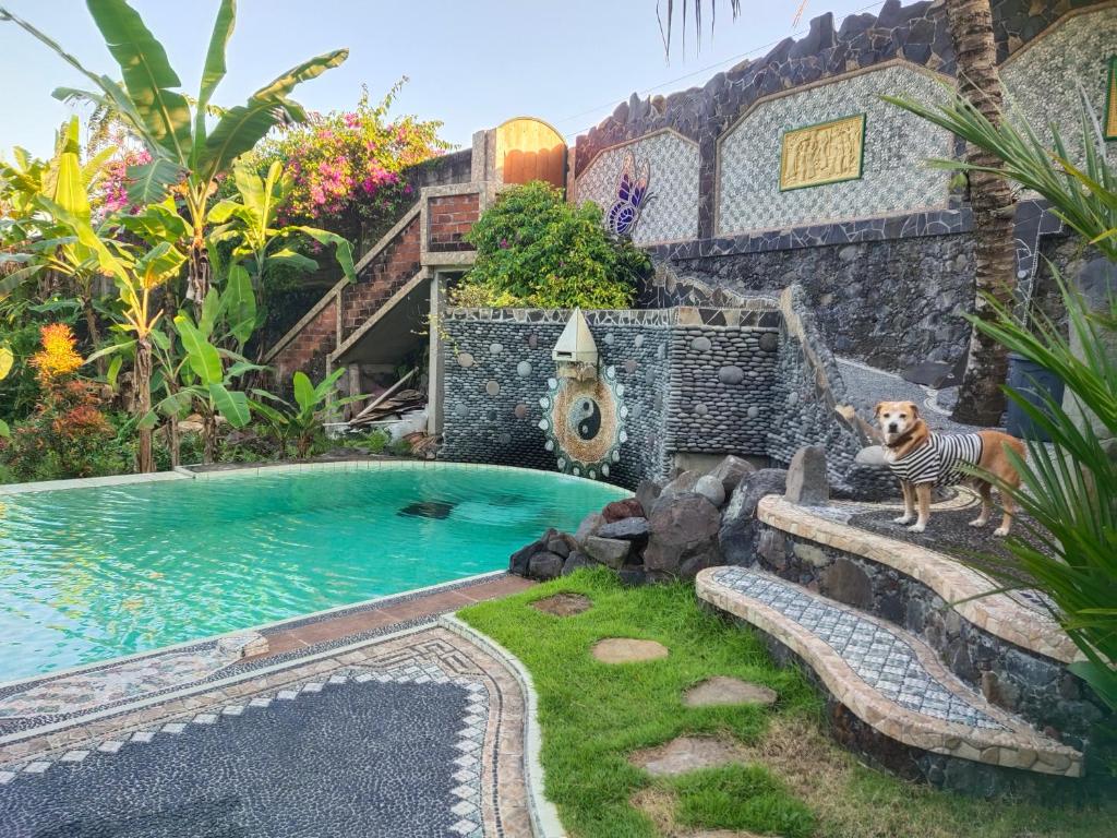 Dau Homestay photo