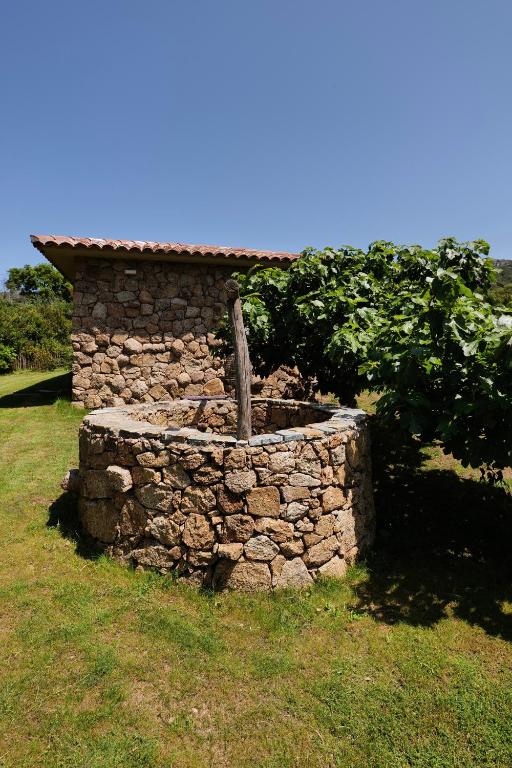 Domaine Pozzo di Mastri photo