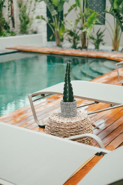 スイミングプール