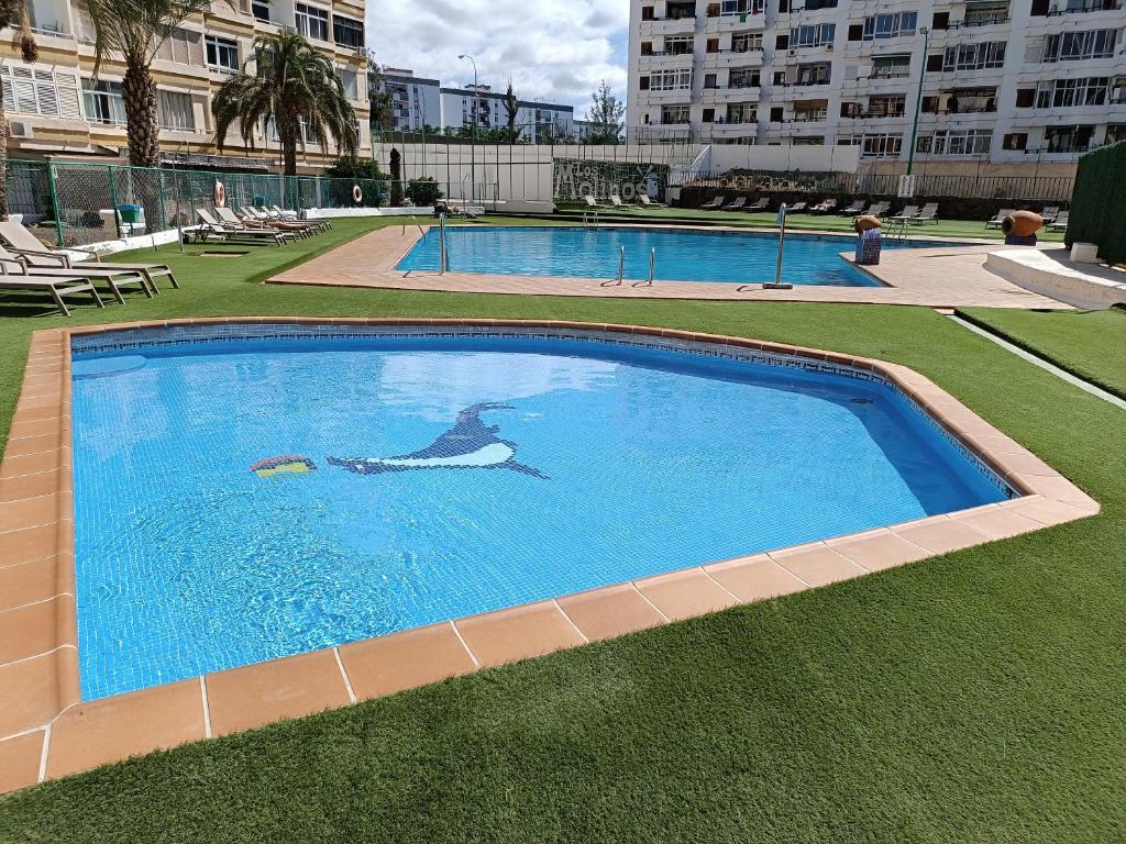 Molinos holidays playa del inglés - 3