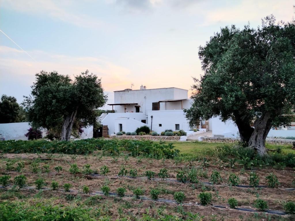 Masseria Piccole Taverne — Hotel in Ostuni