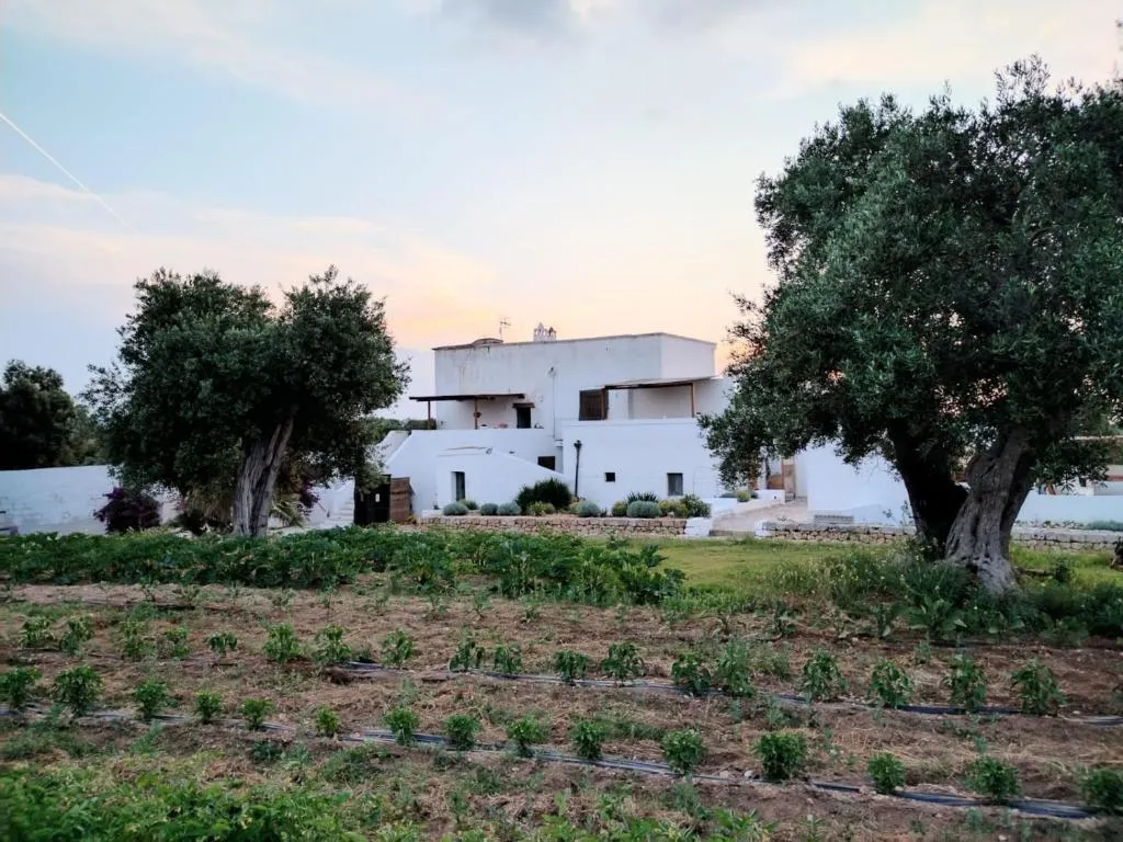 Masseria Piccole Taverne, hotel v destinaci Rosa Marina