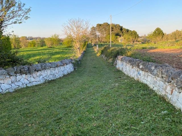 Trullo Raimondo - 3