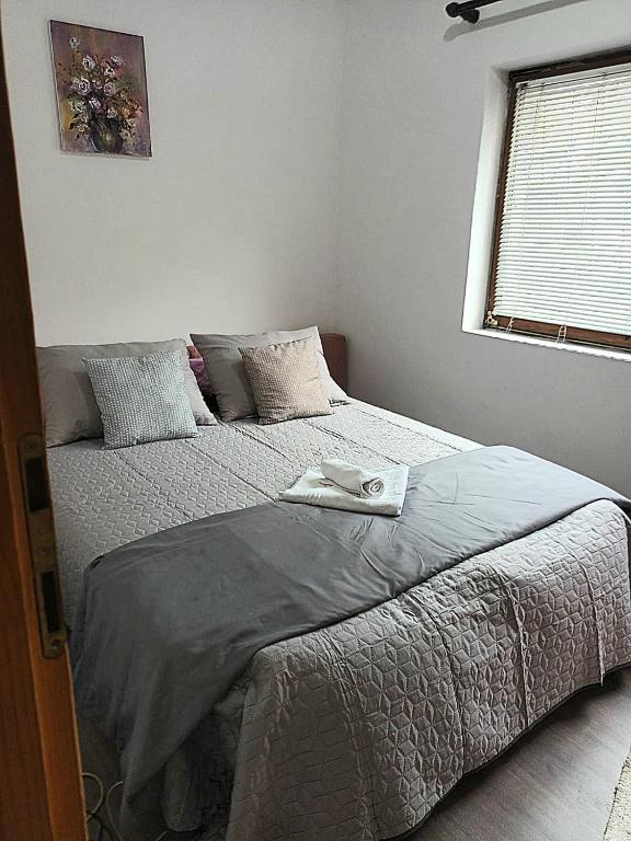 Apartman SRCE STAROG GRADA besplatan parking - 1