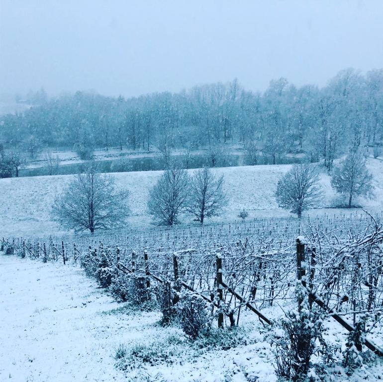 Valditerra Vini - B&B La Rombetta photo